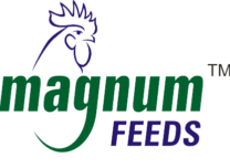 Logo-MAG-F