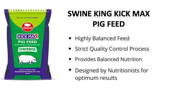 swine king kick max pig feed