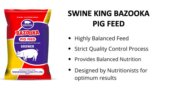 swine king bazooka pig feed