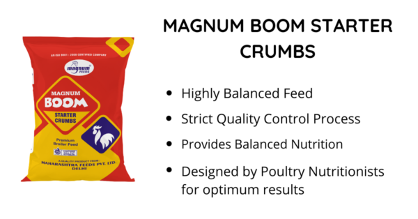 magnum boom starter crumbs