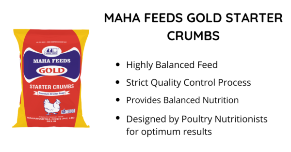 maha feeds gold starter crumbs