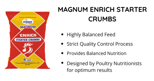 magnum enrich starter crumbs