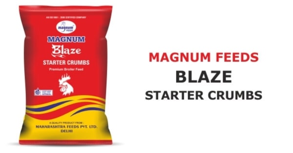 magnum blaze feed