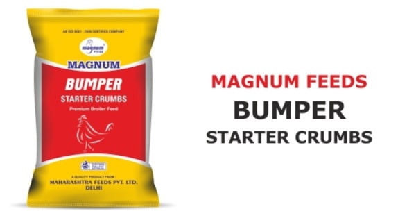 magnum bumper feed