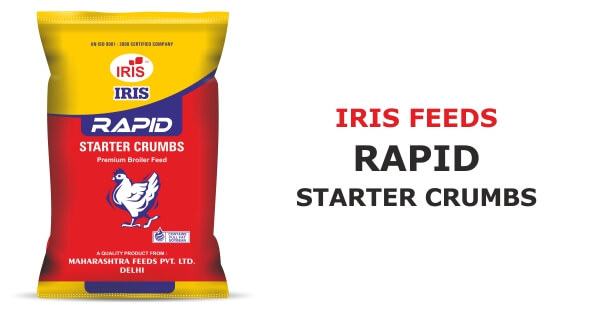 iris rapid