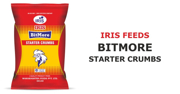 iris bitmore