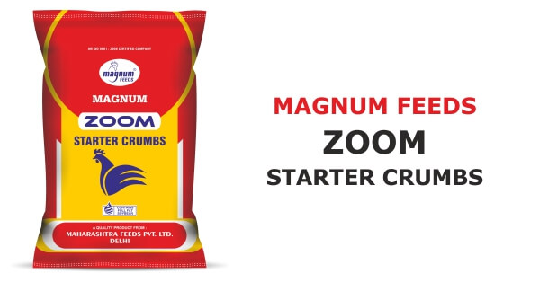 Magnum Zoom Starter Feed
